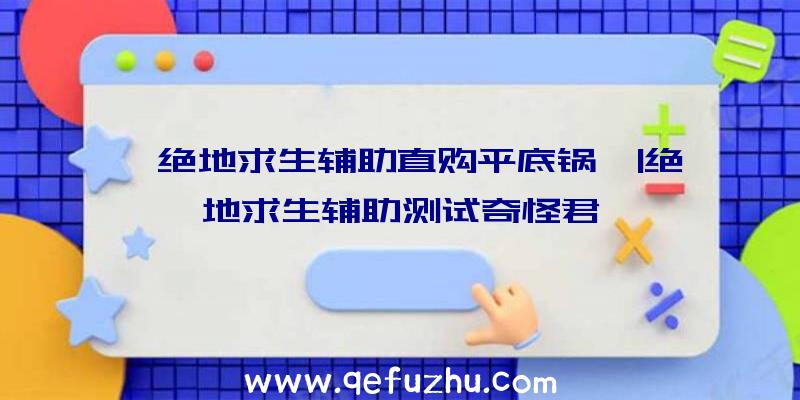 「绝地求生辅助直购平底锅」|绝地求生辅助测试奇怪君